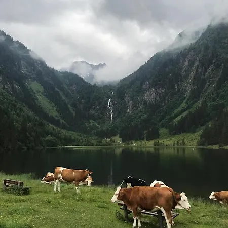 Doeringerhof * Aich (Styria)