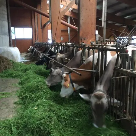 アパート Doeringerhof