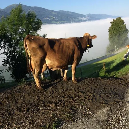 Apartmán Doeringerhof Aich (Styria)