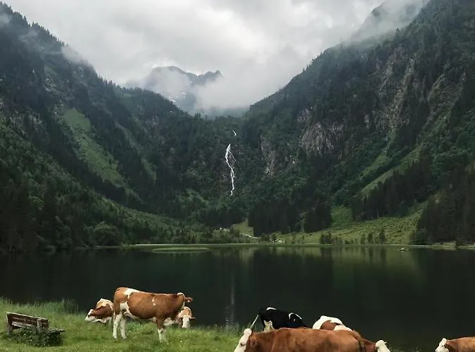 Doeringerhof * Aich (Styria)