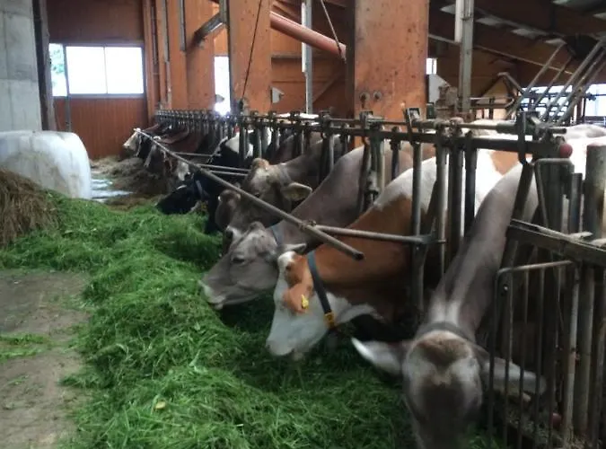 Apartmán Doeringerhof