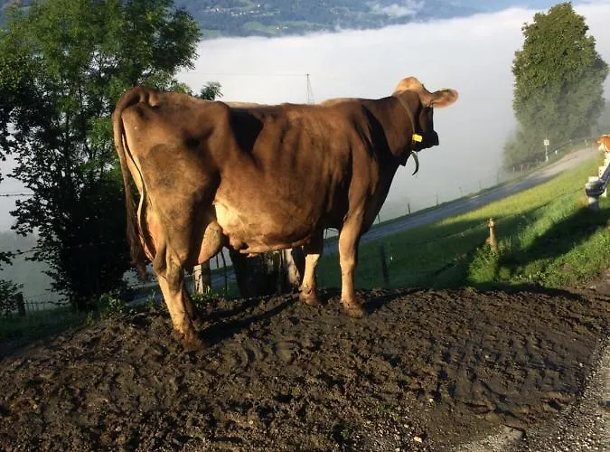 Lejlighed Doeringerhof Aich (Styria)